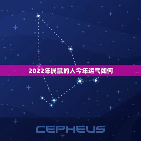 2022年属鼠的人今年运气如何,2022年哪些生肖运气好 2022年属鼠的人今年运气如何,2022年哪些生肖运气好