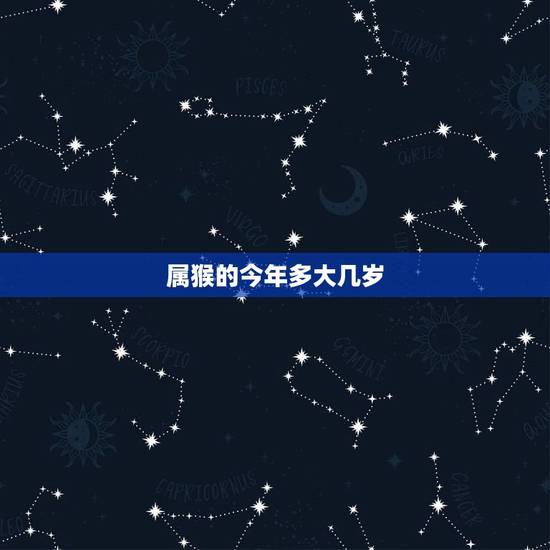 属猴的今年多大几岁,2022 年属猴虚岁多大 属猴的今年多大几岁,2022 年属猴虚岁多大