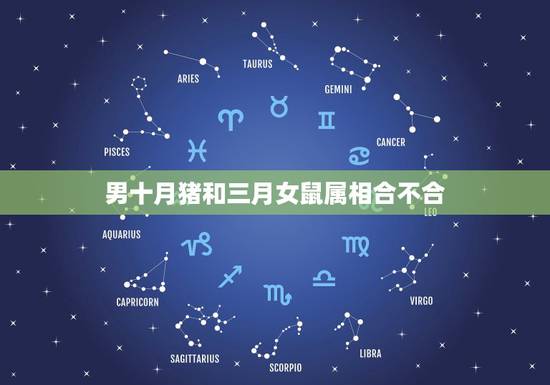 男十月猪和三月女鼠属相合不合，属相婚配：男属兔和女属猪相配吗