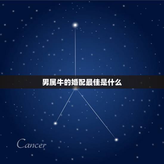 男属牛的婚配最佳是什么，属牛男的和什么属相最配