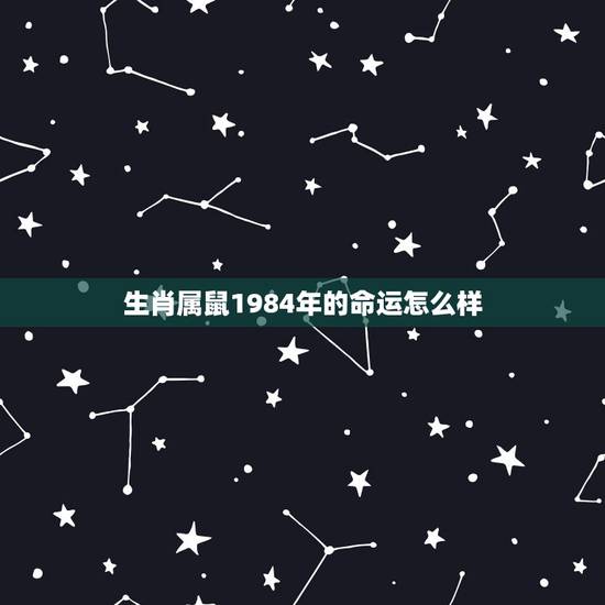 生肖属鼠1984年的命运怎么样，十二生肖鼠好吗
