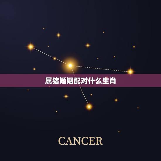 属猪婚姻配对什么生肖，生肖猪和什么生肖最配