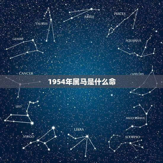 1954年属马是什么命,2002年出生属马五行属什么命 1954年属马是什么命,2002年出生属马五行属什么命
