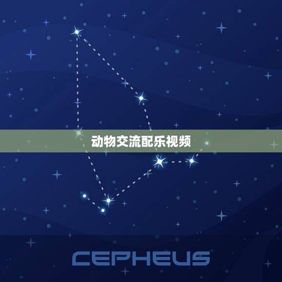 动物交流配乐视频，动物动感音乐视频