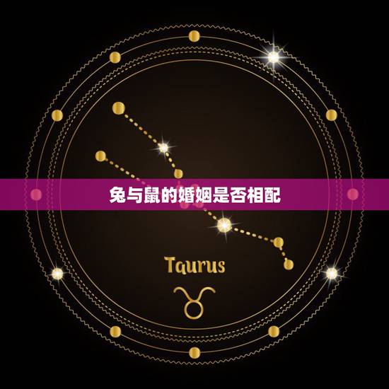 兔与鼠的婚姻是否相配，兔与鼠相克吗