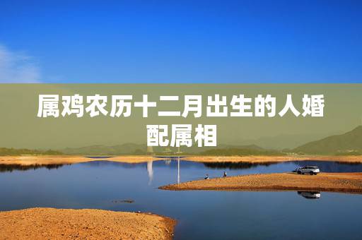 属鸡农历十二月出生的人婚配属相，男女属鸡的属相婚配表大全 生肖属鸡与什