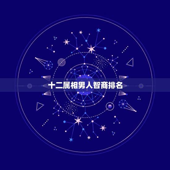十二属相男人智商排名，十二星座排名智商