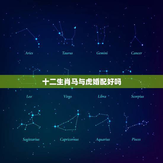 十二生肖马与虎婚配好吗,生肖虎和鼠相配好吗 十二生肖马与虎婚配好吗,生肖虎和鼠相配好吗