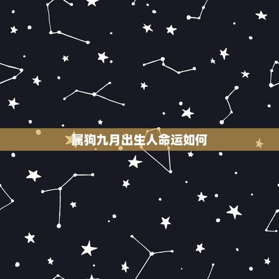 属狗九月出生人命运如何,阴历九月出生女性的属狗 属狗九月出生人命运如何,阴历九月出生女性的属狗