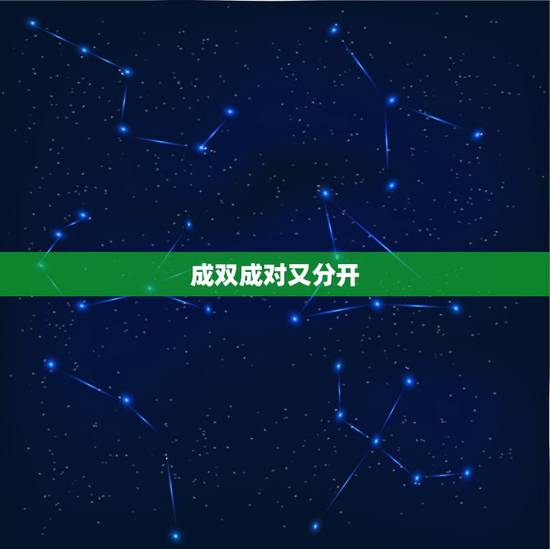 成双成对又分开,成双成对又分开什么动物? 成双成对又分开,成双成对又分开什么动物?