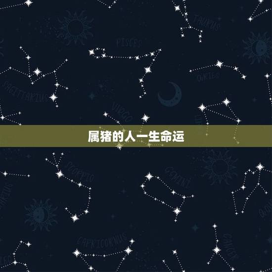 属猪的人一生命运，1971属猪女一生运程