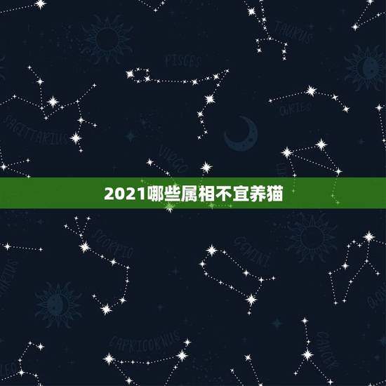 2021哪些属相不宜养猫，2021什么属相犯太岁表