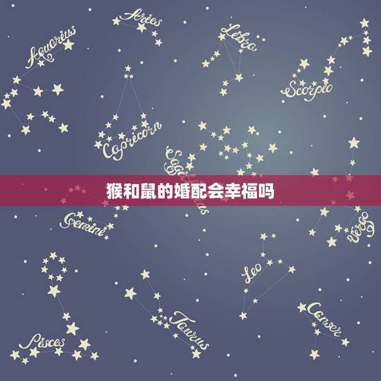 猴和鼠的婚配会幸福吗,男鼠女猴,配么? 猴和鼠的婚配会幸福吗,男鼠女猴,配么?