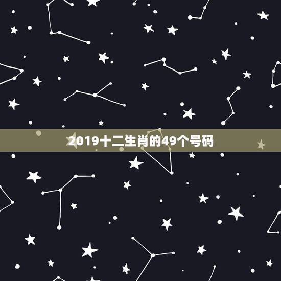 2019十二生肖的49个号码,2023十二生肖的49个号码? 2019十二生肖的49个号码,2023十二生肖的49个号码?