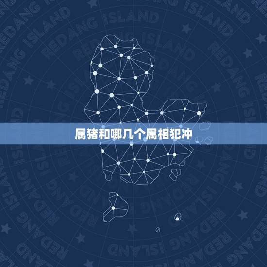 属猪和哪几个属相犯冲,95年属猪的和什么属相犯冲 属猪和哪几个属相犯冲,95年属猪的和什么属相犯冲