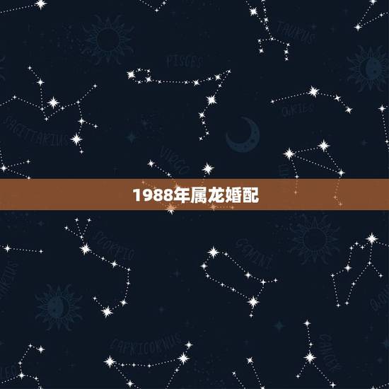 1988年属龙婚配，男88属龙更佳婚配属相