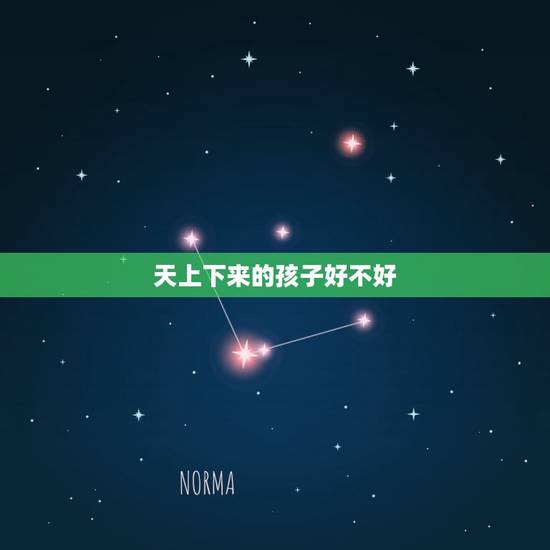 天上下来的孩子好不好,神婆说我的孩子前生是天上的一朵神花,请教一下,他 天上下来的孩子好不好,神婆说我的孩子前生是天上的一朵神花,请教一下,他