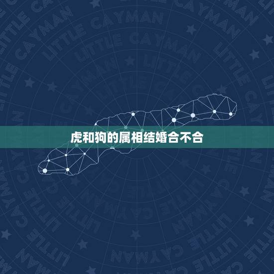 虎和狗的属相结婚合不合，属狗与属虎相配吗