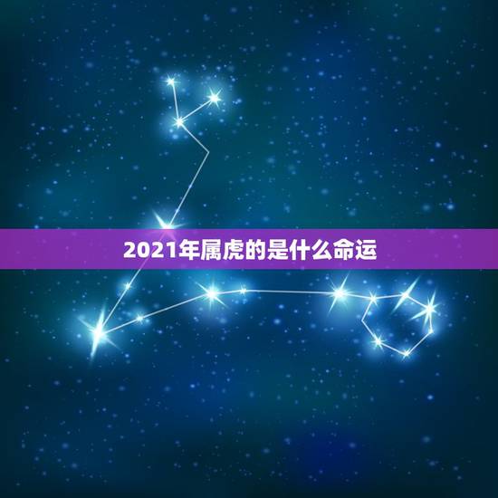 2021年属虎的是什么命运,2021年47岁属什么生肖 2021年属虎的是什么命运,2021年47岁属什么生肖