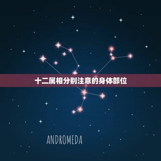 十二属相分别注意的身体部位,十二生肖对应的十二脏器是那些? 十二属相分别注意的身体部位,十二生肖对应的十二脏器是那些?