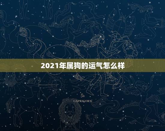 2021年属狗的运气怎么样，1982年属狗男2021年运势及运程