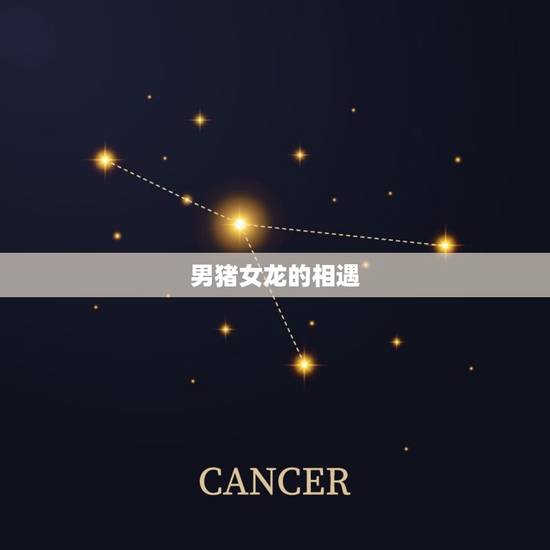 男猪女龙的相遇