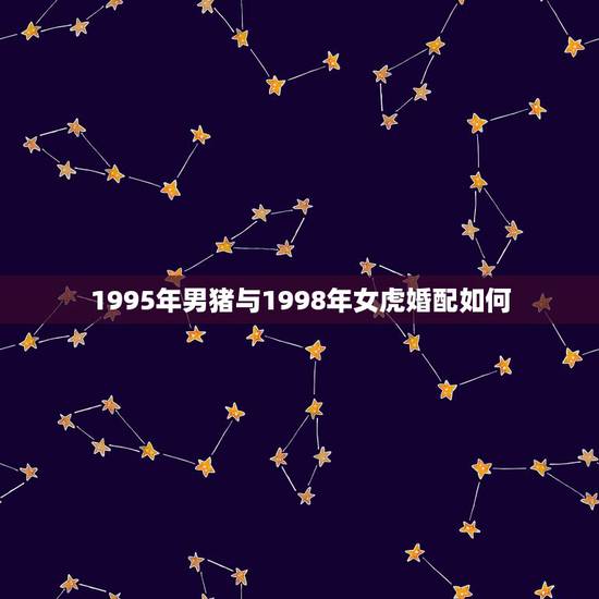 1995年男猪与1998年女虎婚配如何,1995年属猪的和1998年属 1995年男猪与1998年女虎婚配如何,1995年属猪的和1998年属