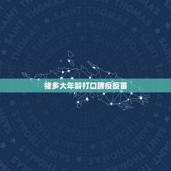 猪多大年龄打口蹄疫疫苗,猪口蹄疫更佳接种时间 猪多大年龄打口蹄疫疫苗,猪口蹄疫更佳接种时间