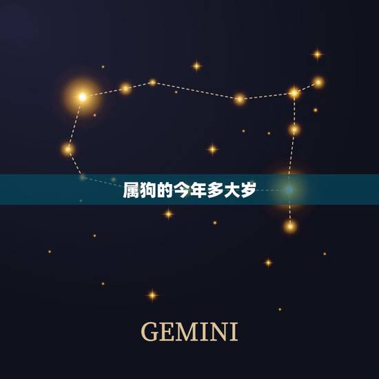属狗的今年多大岁，属兔的今年多大