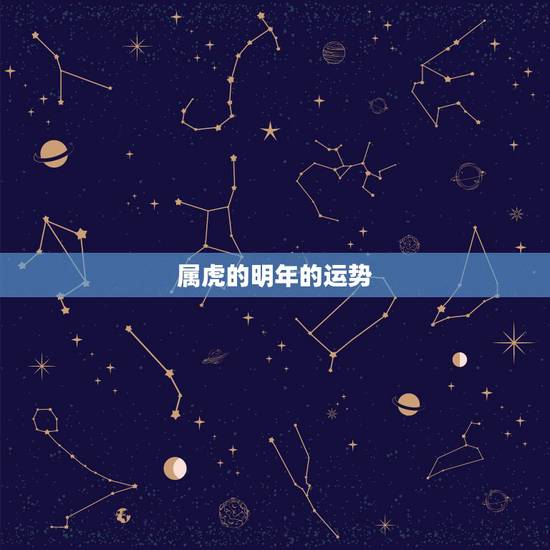 属虎的明年的运势，1986年属虎明年运势
