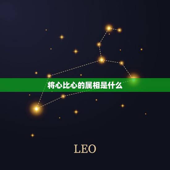 将心比心的属相是什么，孔明好乘浮云骢，将心比心人自懂打一生肖