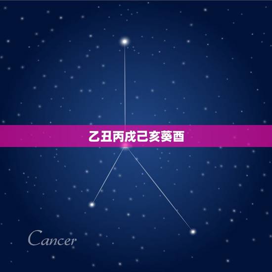 乙丑丙戌己亥葵酉,己亥年甲戌月是哪个月 乙丑丙戌己亥葵酉,己亥年甲戌月是哪个月