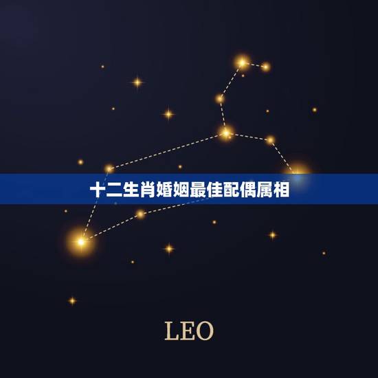 十二生肖婚姻最佳配偶属相，女生属龙的和什么属相最配，女性属龙的属相婚配