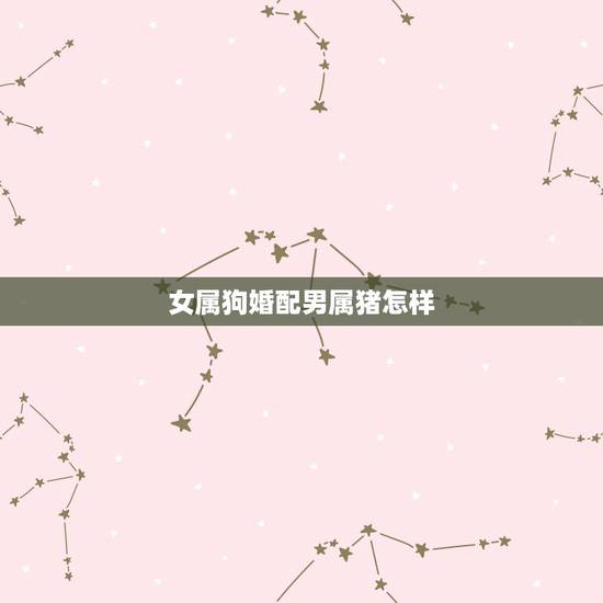 女属狗婚配男属猪怎样,女属狗男属猪相配吗? 女属狗婚配男属猪怎样,女属狗男属猪相配吗?