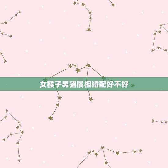 女猴子男猪属相婚配好不好，属相婚配 女猴和男猪好不好