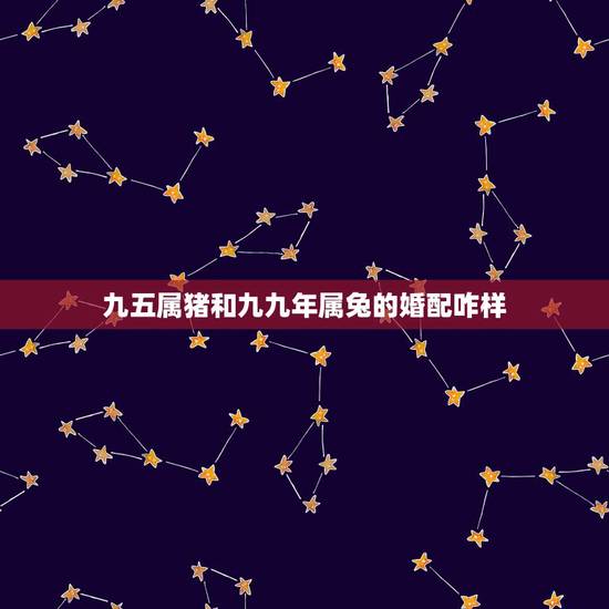 九五属猪和九九年属兔的婚配咋样，99年属兔男生和属猪女生合适吗命运上