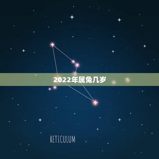 2022年属兔几岁,1999年到2022年周岁23岁 2022年属兔几岁,1999年到2022年周岁23岁