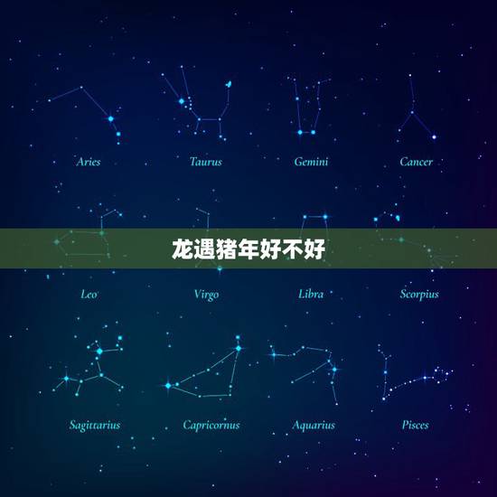 龙遇猪年好不好，1976年龙人2022 年运程
