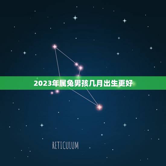 2023年属兔男孩几月出生更好，2023年属兔的宝宝怎么样