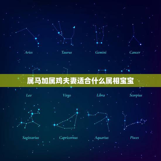 属马加属鸡夫妻适合什么属相宝宝,属马女和属鸡马相配吗? 属马加属鸡夫妻适合什么属相宝宝,属马女和属鸡马相配吗?