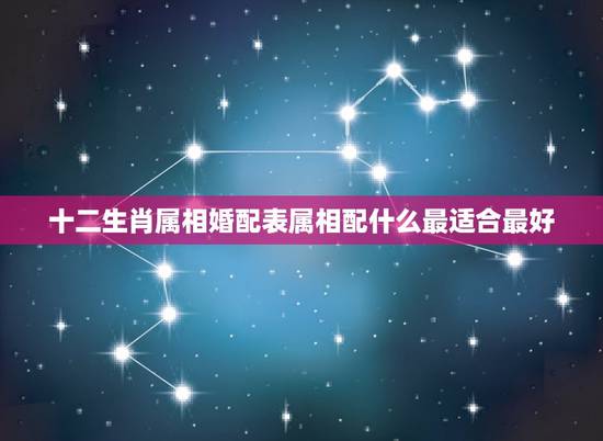 十二生肖属相婚配表属相配什么最适合最好,属相婚配表,来看你的属相配什么 十二生肖属相婚配表属相配什么最适合最好,属相婚配表,来看你的属相配什么