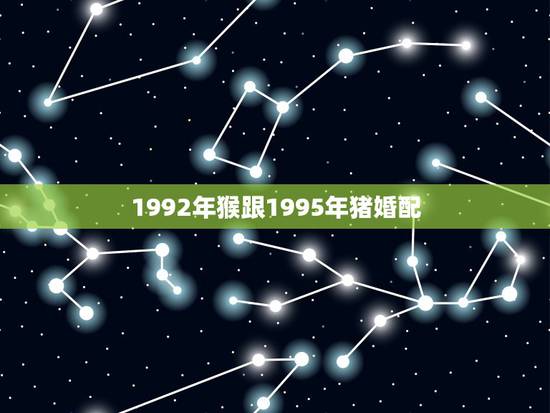 1992年猴跟1995年猪婚配，女92年的猴和男95年的猪生什么属相的