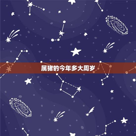 属猪的今年多大周岁，属马的人今年多少岁