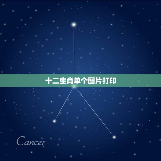 十二生肖单个图片打印，十二生肖图片打印稿