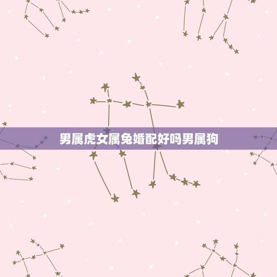 男属虎女属兔婚配好吗男属狗，男属虎女属狗配吗