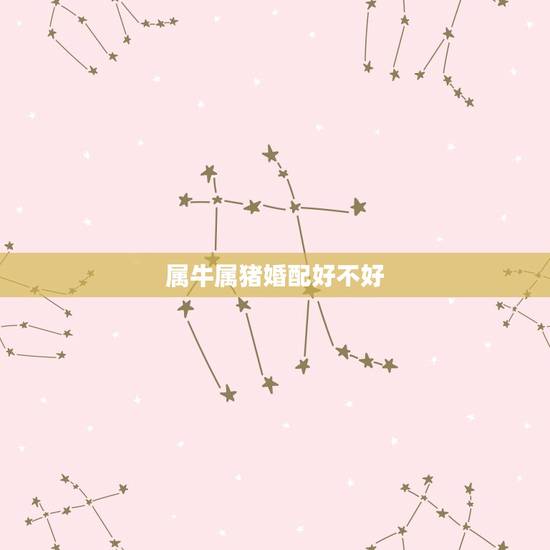 属牛属猪婚配好不好,属牛和属猪相配吗 属牛属猪婚配好不好,属牛和属猪相配吗