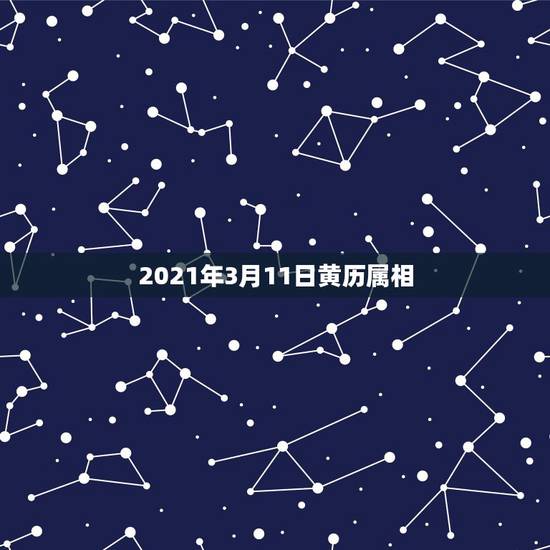 2021年3月11日黄历属相,2021年生肖是什么年? 2021年3月11日黄历属相,2021年生肖是什么年?