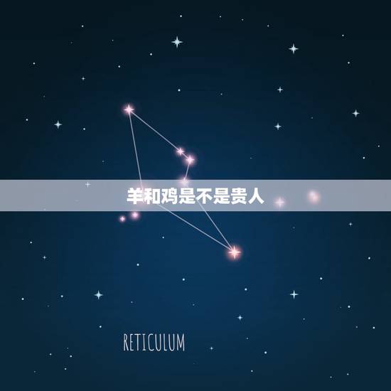 羊和鸡是不是贵人,羊卷毛是什么面料 羊和鸡是不是贵人,羊卷毛是什么面料