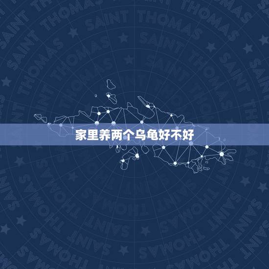 家里养两个乌龟好不好,家里养乌龟好吗 家里养两个乌龟好不好,家里养乌龟好吗