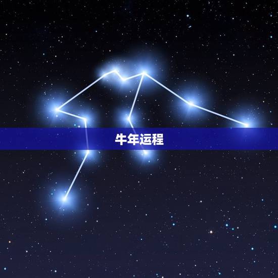牛年运程，宋韶光牛年运程